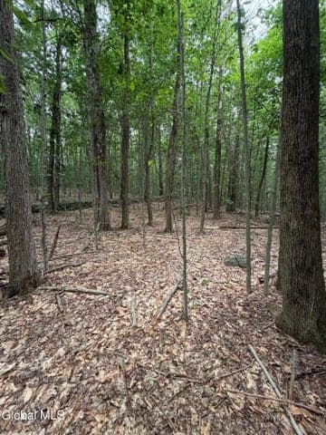 L184 Black River Road, Stephentown, NY, photo 3