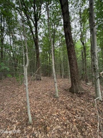 L184 Black River Road, Stephentown, NY, photo 5