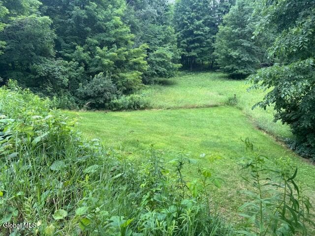 194 Black Creek Road, Salem, NY, photo 5