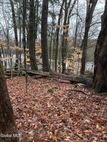 27 S Copeland Pond Way, Fort Ann, NY, photo 5
