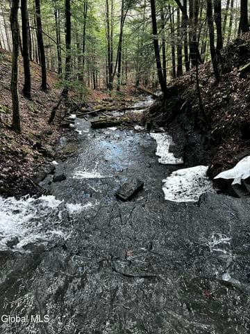 181 Gray Road, Guilderland, NY, photo 5