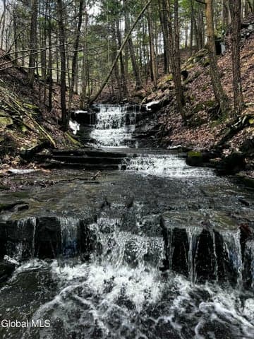 181 Gray Road, Guilderland, NY, photo 4