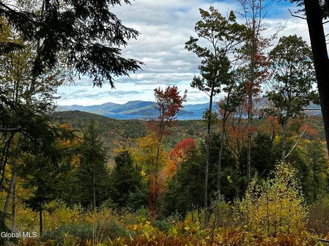 370 Dickinson Hill Road, Bolton, NY, photo 5