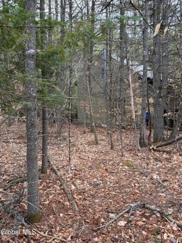 L10 Stone Bridge Rd, Chester, NY, photo 3