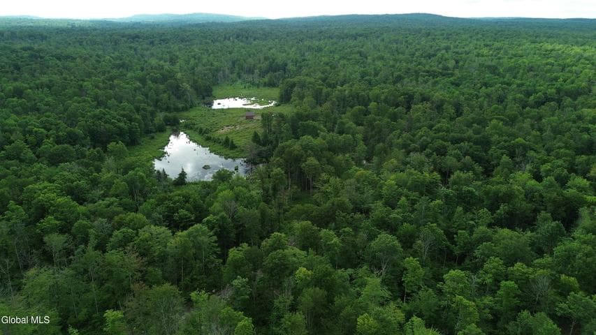 1006 County Highway 119, Ephratah, NY, photo 3