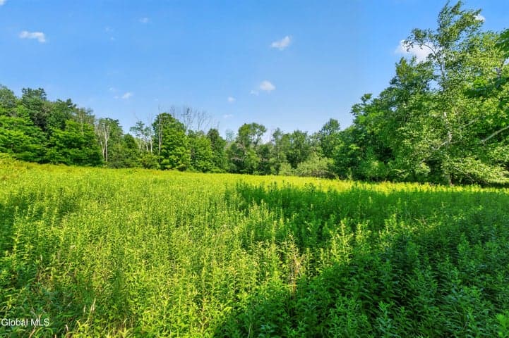 201 Presbyterian Hill Road #Lot 1, Stephentown, NY, photo 3
