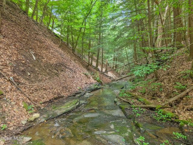171 Strong Hill Road, Westford, NY, photo 4