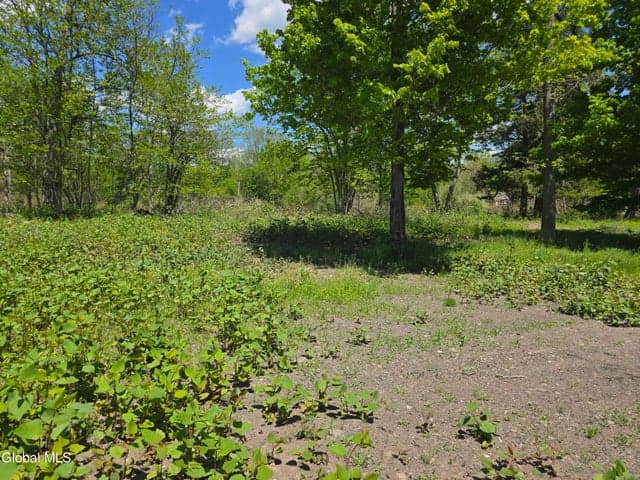 7143 New York 81, Durham, NY, photo 5