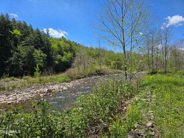7143 New York 81, Durham, NY, photo 2
