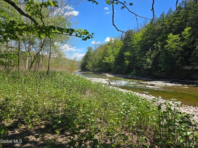 7143 New York 81, Durham, NY, photo 3