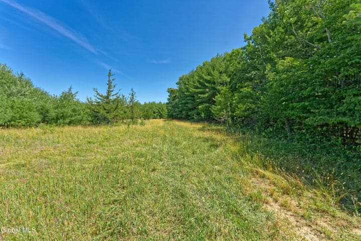 Lot 1 Sunset Hill Road, New Baltimore, NY, photo 5