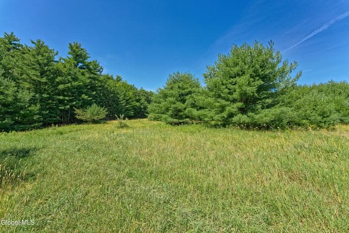 Lot 1 Sunset Hill Road, New Baltimore, NY, photo 4