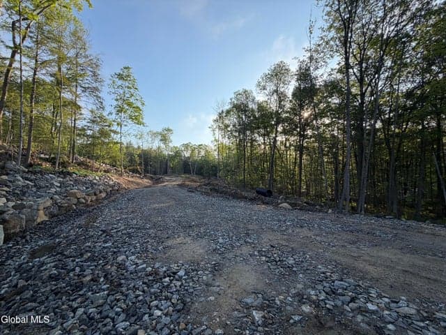 62 Pine Hill Road, Bolton, NY, photo 5