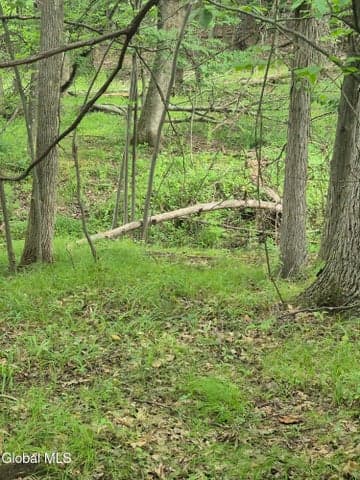 0 Malden Street, Nassau Village, NY, photo 4