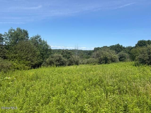 81 Maiers Road, Taghkanic, NY, photo 2