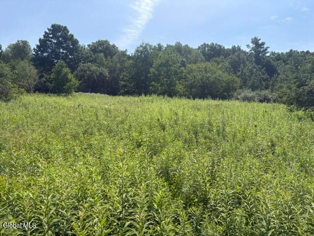 81 Maiers Road, Taghkanic, NY, photo 4