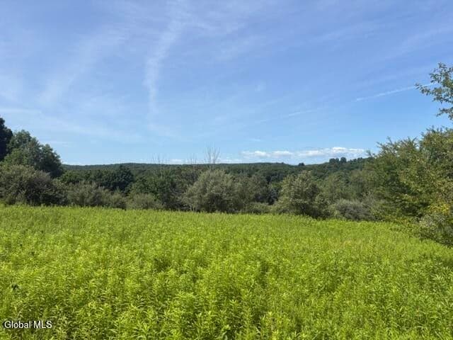 81 Maiers Road, Taghkanic, NY, photo 5