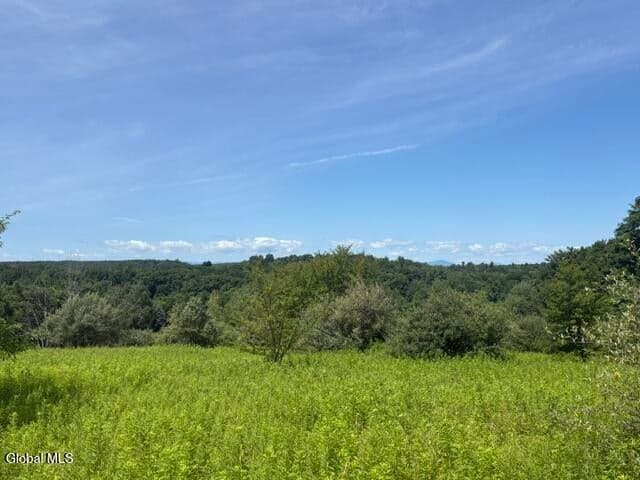 81 Maiers Road, Taghkanic, NY