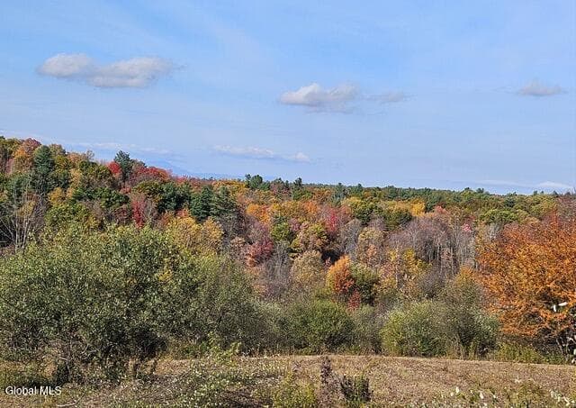 81 Maiers Road, Taghkanic, NY, photo 3