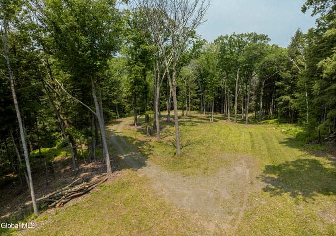 276 E Hill Road, Austerlitz, NY, photo 1