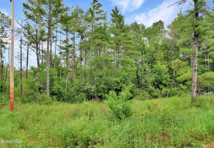 583 Hunter Road, Fort Edward, NY, photo 4
