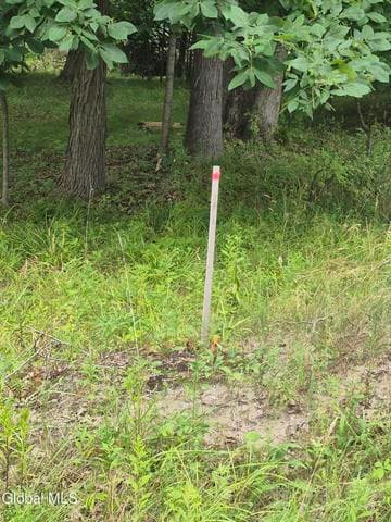 0 Malden Street, Nassau Village, NY, photo 2