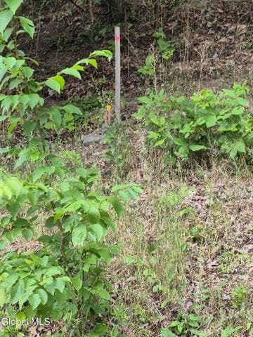 0 Malden Street, Nassau Village, NY, photo 3