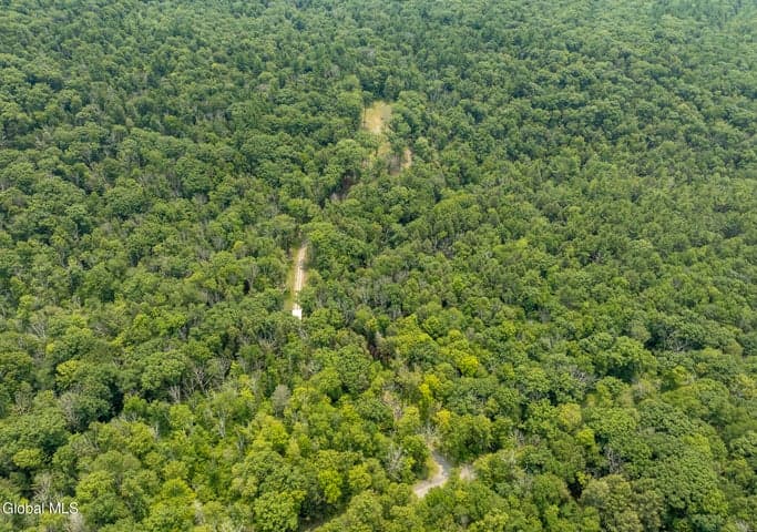 276 E Hill Road, Austerlitz, NY, photo 2