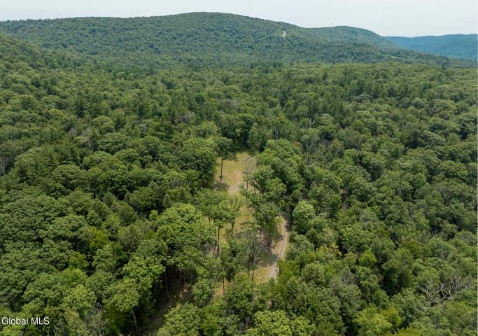 276 E Hill Road, Austerlitz, NY, photo 3