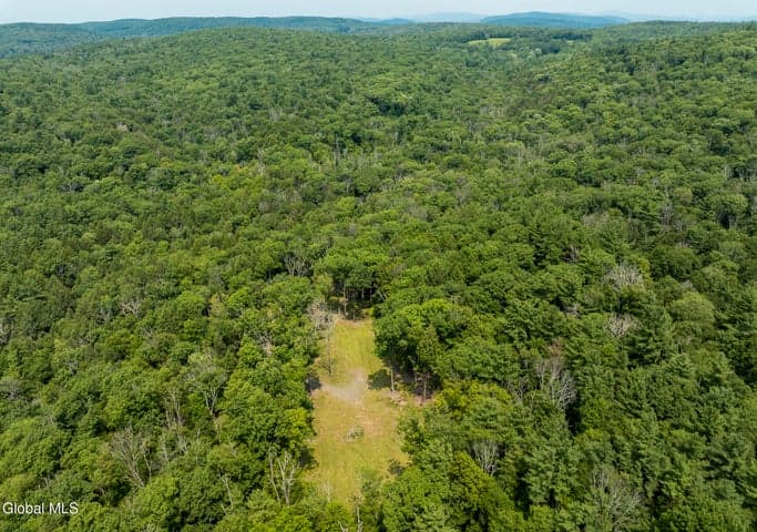 276 E Hill Road, Austerlitz, NY, photo 4