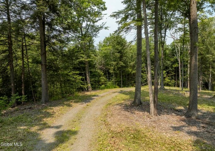 276 E Hill Road, Austerlitz, NY, photo 5