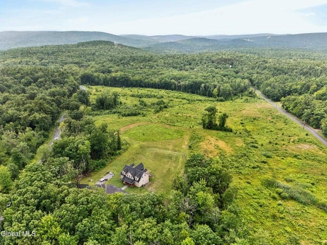 439 Saddle Back Ridge Road, Stephentown, NY, photo 5