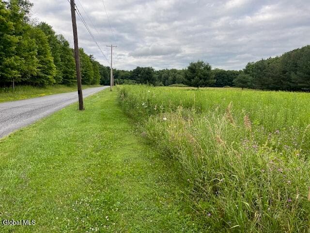 184 Beechwood Road, Sharon Springs, NY, photo 3