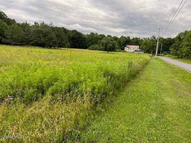 184 Beechwood Road, Sharon Springs, NY, photo 4