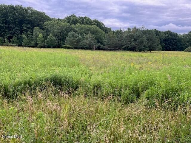 184 Beechwood Road, Sharon Springs, NY, photo 2