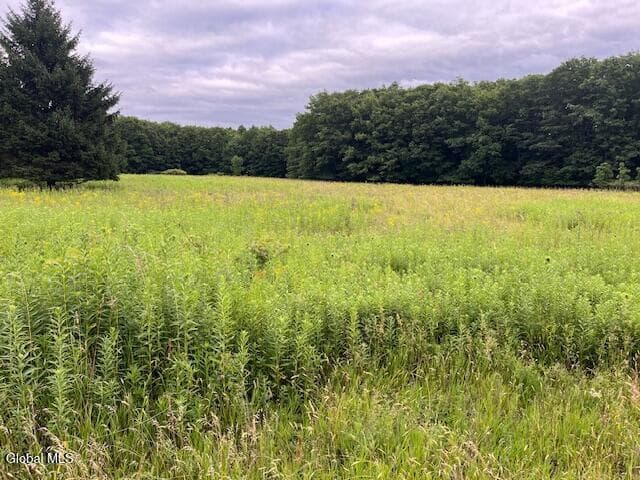 184 Beechwood Road, Sharon Springs, NY