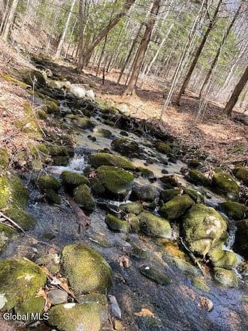 192 Fox Hill Road, Edinburg, NY, photo 3