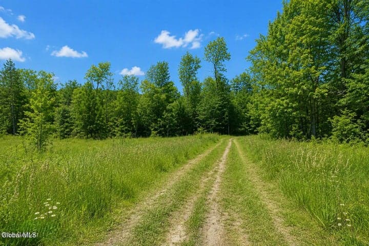 L11.1 Laura Lane, New Baltimore, NY, photo 4