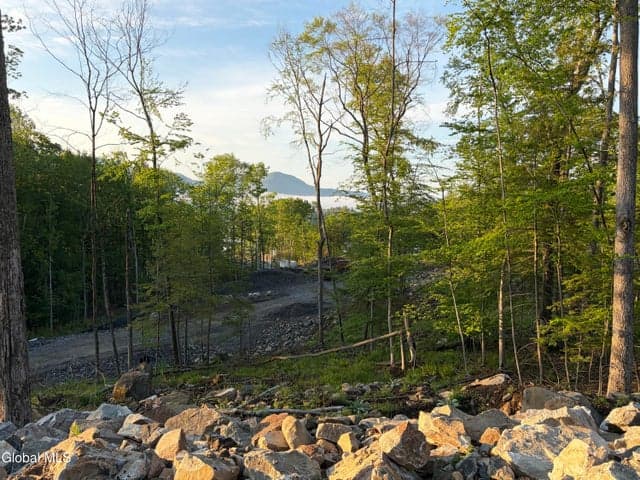 62 Pine Hill Road, Bolton, NY