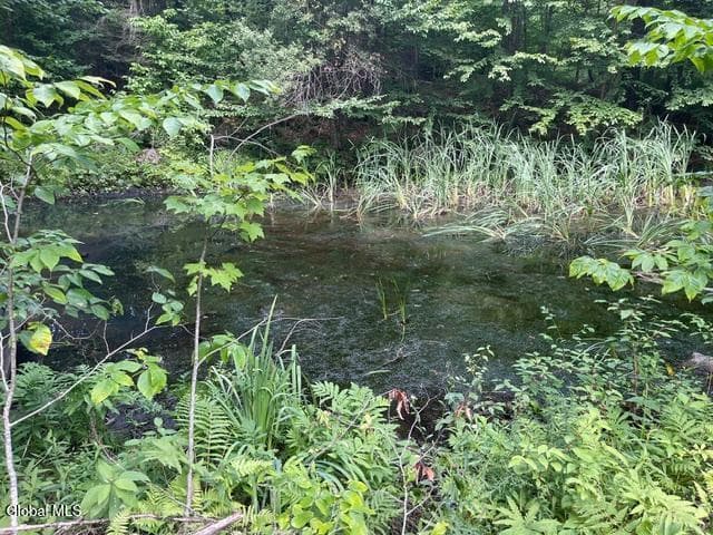 787 Stoney Lonesome Road, Crown Point, NY, photo 4