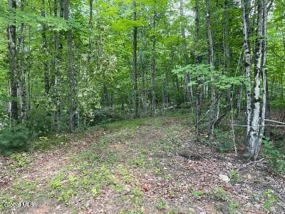 787 Stoney Lonesome Road, Crown Point, NY, photo 5