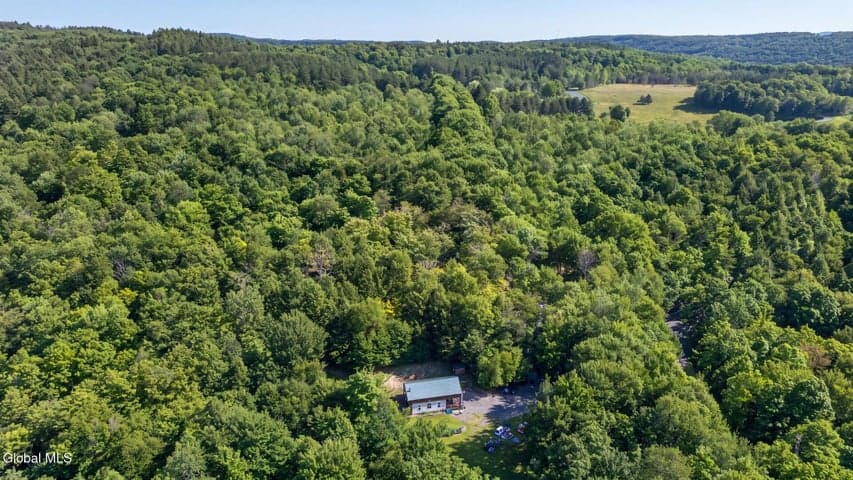 159 Seven Ponds Road, Summit, NY, photo 4