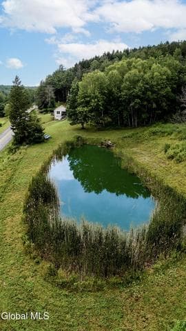 519 Shew Hollow Road, Gilboa, NY, photo 5