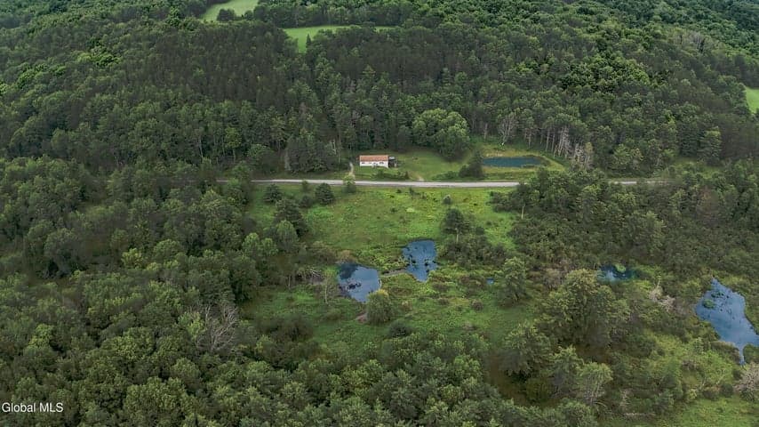 519 Shew Hollow Road, Gilboa, NY, photo 4
