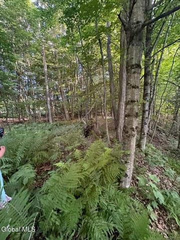 19 Porter Mill Road, Crown Point, NY, photo 5