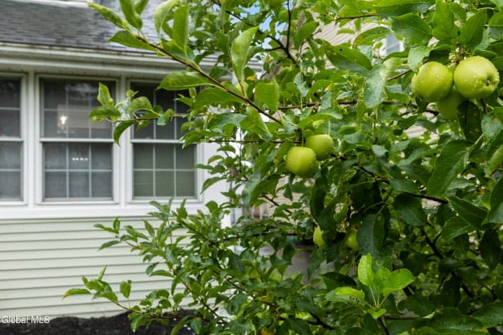 4 Maplewood Avenue, Albany, NY, photo 4