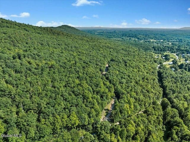 Lot 24 Ridge Road, Queensbury, NY, photo 4