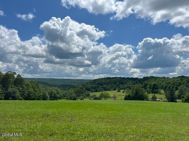 359 Baldwin Road, Summit, NY, photo 2