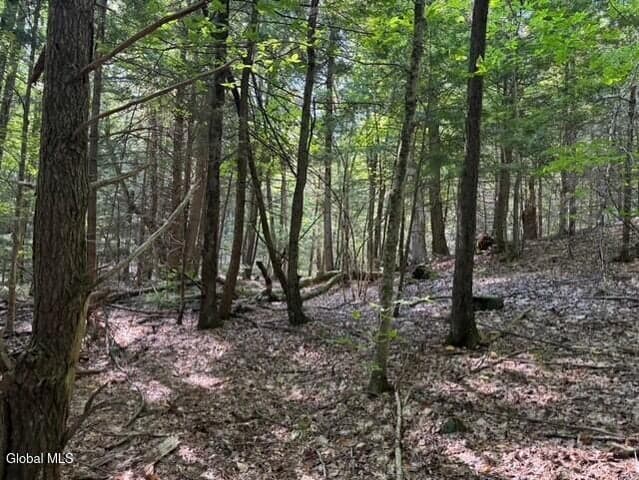 L8 Wrights Farm Road, Bolton, NY, photo 3