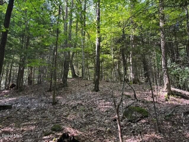 L8 Wrights Farm Road, Bolton, NY, photo 4